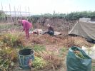 img 20260916 153951 017 photo