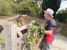 img 20260916 154914 143 photo