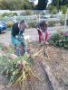 img 20260916 163615 622 photo
